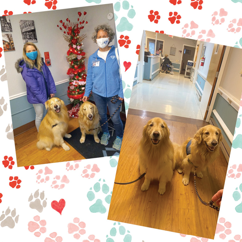 photo collage of two golden retrievers and two staff members posing for photos